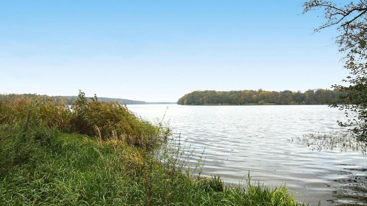 AreaSummer5KM AreaSummer5KM